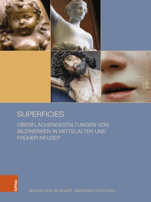 cover image of Superficies